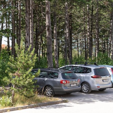 Apartman Curcic كنين المظهر الخارجي الصورة